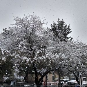 Meet your Posher, Gail